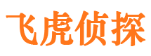 阜平市侦探调查公司